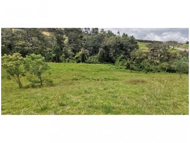 Lote en venta en Vía Las Palmas, Envigado, 2099 m² · foto 5 de 8