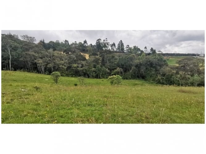 Lote en venta en Vía Las Palmas, Envigado, 2099 m² · foto 6 de 8