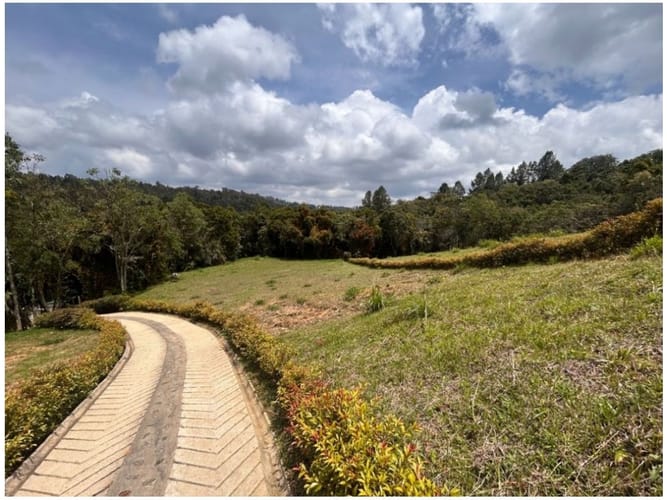 Lote en venta en Las Palmas, Envigado, 1005 m² · foto 2 de 7