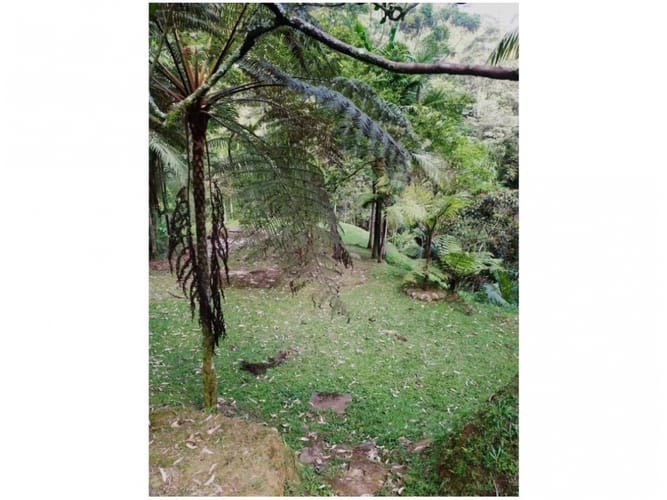 Casa de 6 alcobas en venta en La Doctora, Sabaneta, 400 m² · foto 22 de 22