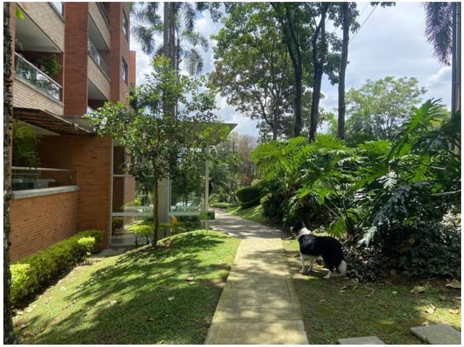 Apartamento de 3 alcobas en venta en Bosques De San Jorge, Envigado, 207 m² · foto 12 de 22