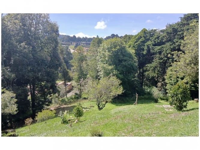 Casa en venta en Las Palmas, Envigado · foto 4 de 11