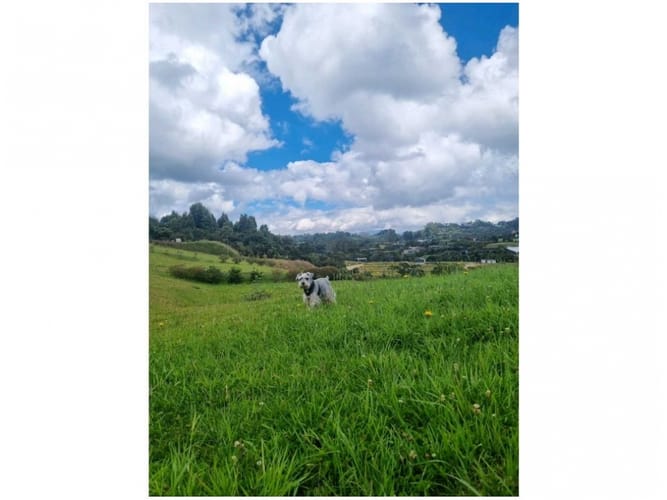 Lote en venta en Las Palmas, Envigado, 1518 m² · foto 2 de 6