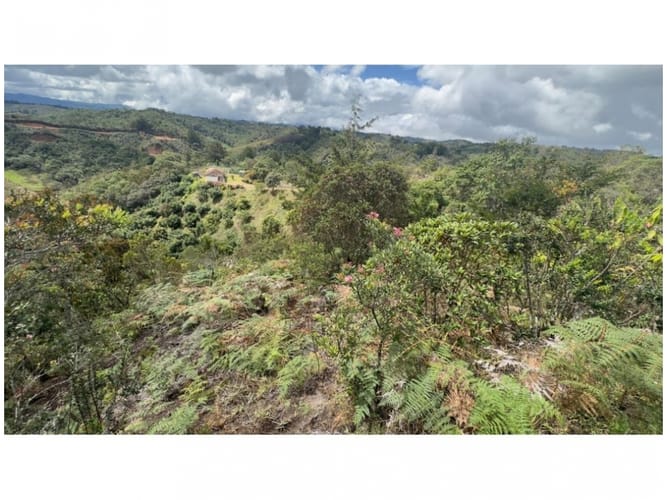Finca en venta en Alto La Compa�Ia, Medellín, 13887 m² · foto 11 de 24