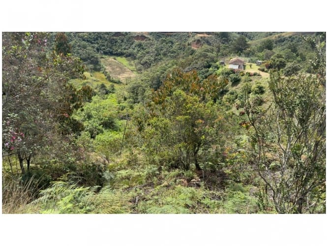 Finca en venta en Alto La Compa�Ia, Medellín, 13887 m² · foto 13 de 24