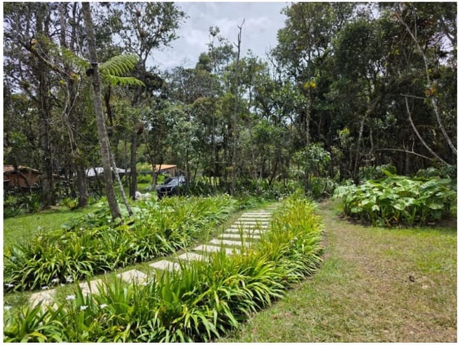 Finca en venta en Playa Rica-Rancheria, Rionegro, 250 m² · foto 2 de 8