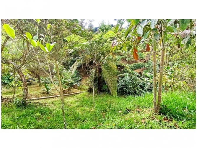 Lote en venta en El Retiro, 3050 m² · foto 9 de 9