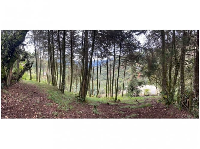 Lote en venta en El Retiro, 4249 m² · foto 2 de 14