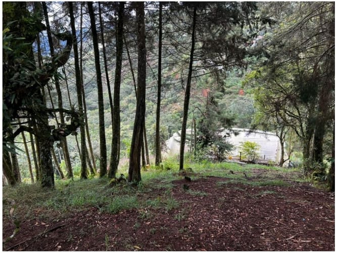 Lote en venta en El Retiro, 4249 m² · foto 3 de 14