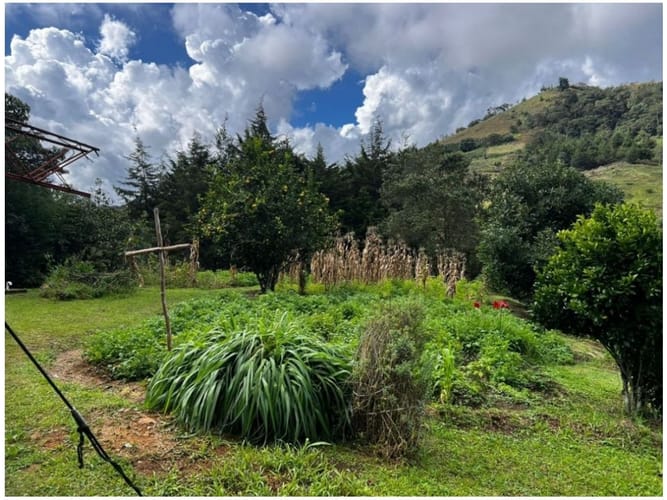 Lote en venta en El Retiro, 4249 m² · foto 11 de 14