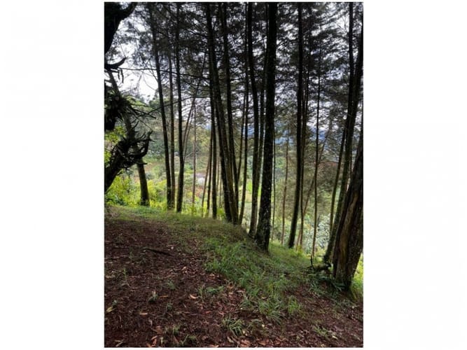 Lote en venta en El Retiro, 4249 m² · foto 12 de 14