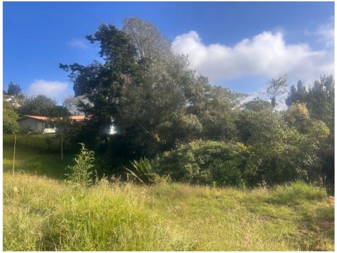 Lote en venta en Vía Las Palmas, Envigado · foto 2 de 6