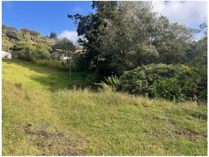 Lote en venta en Vía Las Palmas, Envigado · foto 3 de 6