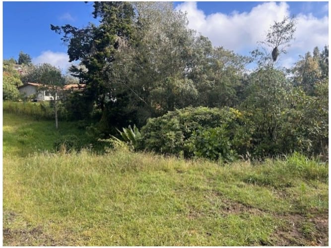 Lote en venta en Vía Las Palmas, Envigado · foto 4 de 6