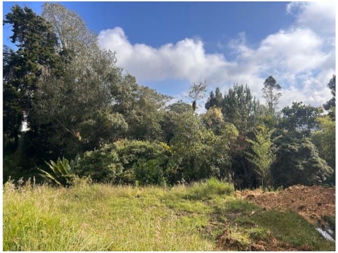 Lote en venta en Vía Las Palmas, Envigado · foto 5 de 6