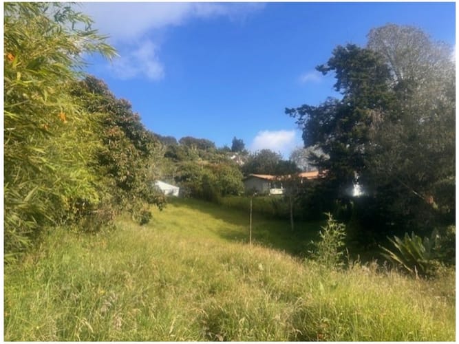 Lote en venta en Vía Las Palmas, Envigado · foto 6 de 6
