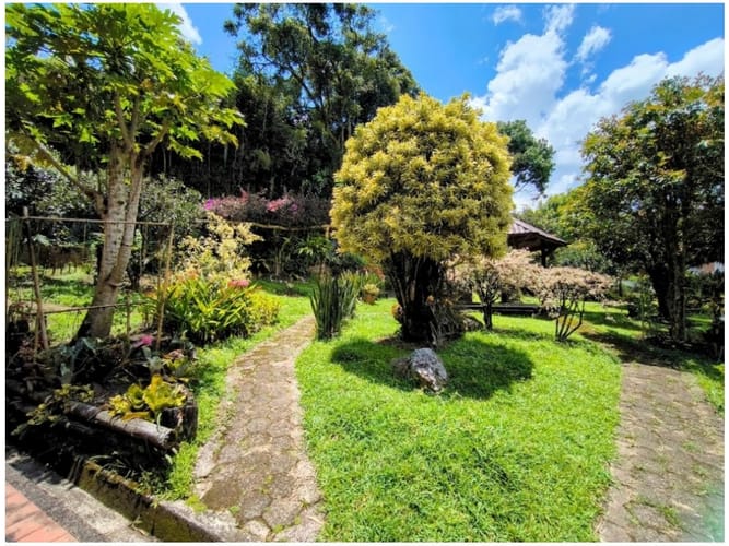Lote en venta en Tarapaca, La Estrella, 537 m² · foto 6 de 6