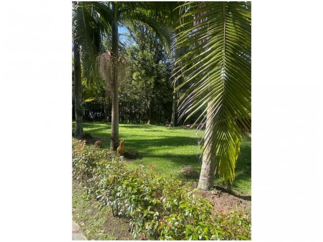 Finca en venta en Bellavista, Guarne, 180 m² · foto 23 de 23