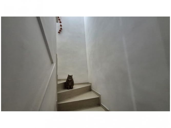 Casa de 6 alcobas en venta en El Poblado, Medellín, 215 m² · foto 14 de 19