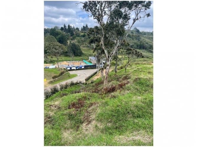 Lote en venta en La Mosquita, Rionegro, 2488 m² · foto 3 de 21