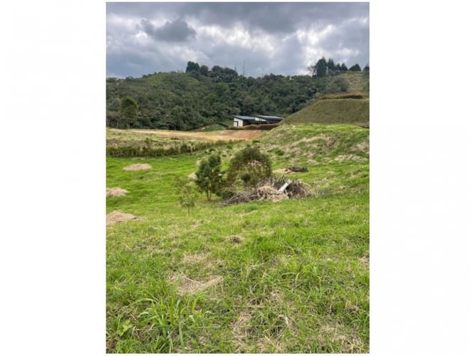 Lote en venta en La Mosquita, Rionegro, 2488 m² · foto 6 de 21