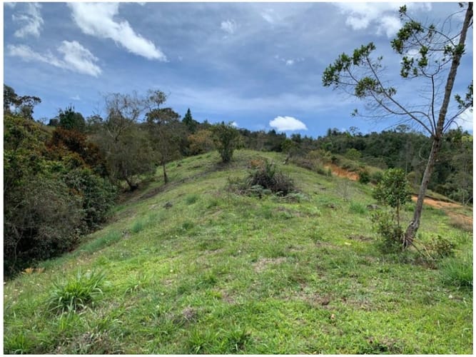 Lote en venta en El Zango, Guarne, 3800 m² · foto 4 de 14