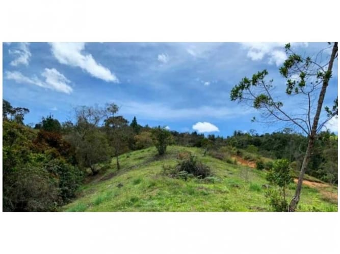 Lote en venta en El Zango, Guarne, 3800 m² · foto 7 de 14