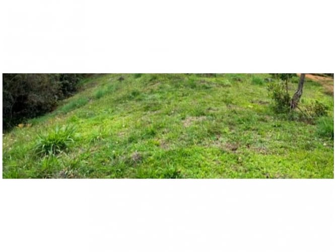 Lote en venta en El Zango, Guarne, 3800 m² · foto 11 de 14