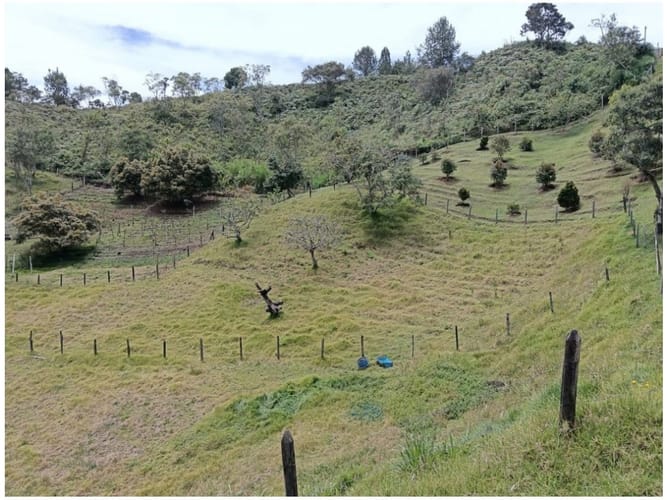 Finca en venta en La Mejia, Guarne, 1150 m² · foto 11 de 17