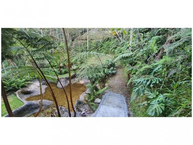 Casa de 5 alcobas en venta en Vía Las Palmas, Envigado, 480 m² · foto 10 de 24