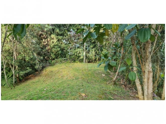 Casa de 5 alcobas en venta en Vía Las Palmas, Envigado, 480 m² · foto 11 de 24
