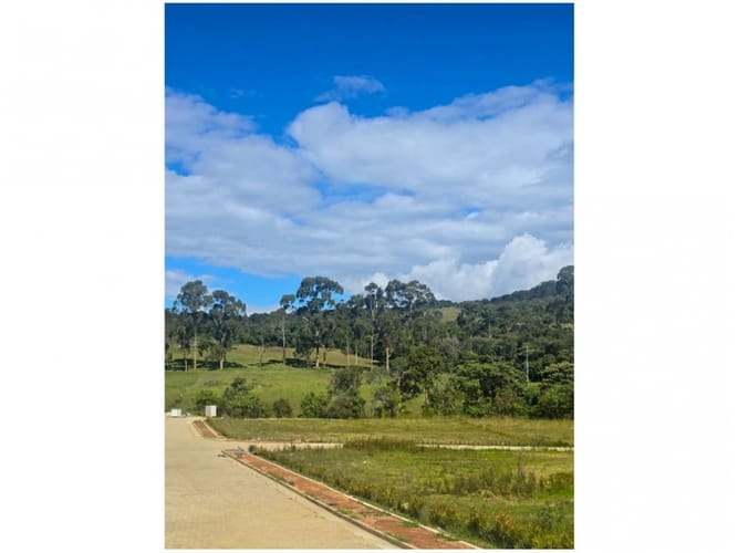 Lote en venta en Loma Del Chocho, Envigado, 2500 m² · foto 5 de 10