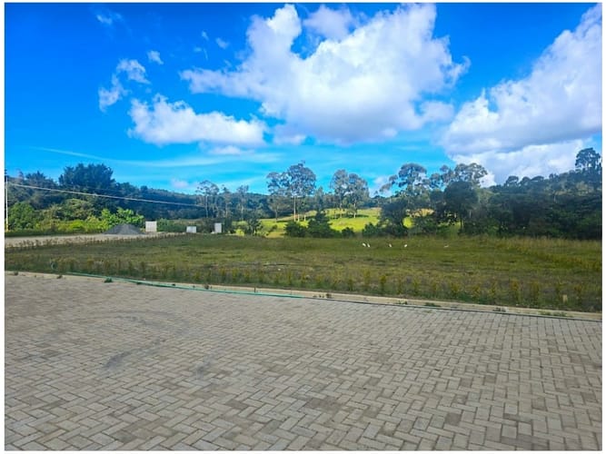 Lote en venta en Loma Del Chocho, Envigado, 2500 m² · foto 6 de 10