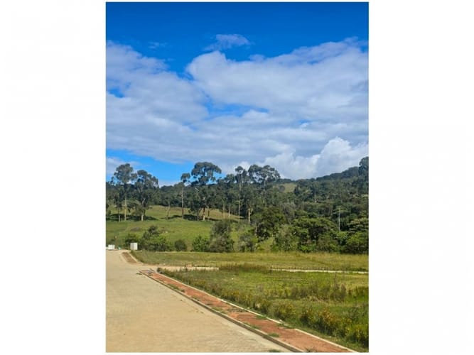 Lote en venta en Loma Del Chocho, Envigado, 2500 m² · foto 7 de 10
