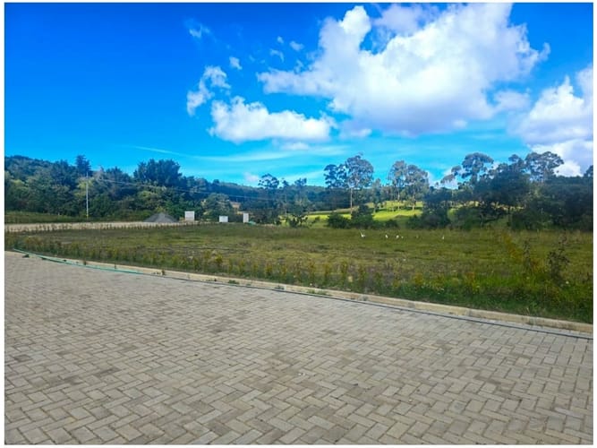 Lote en venta en Loma Del Chocho, Envigado, 2500 m² · foto 8 de 10