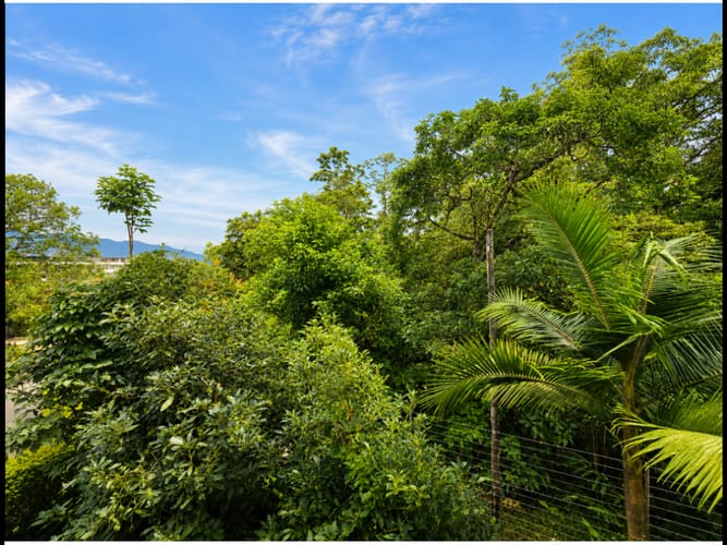 Casa en venta en Loma Del Escobero, Envigado · foto 15 de 20