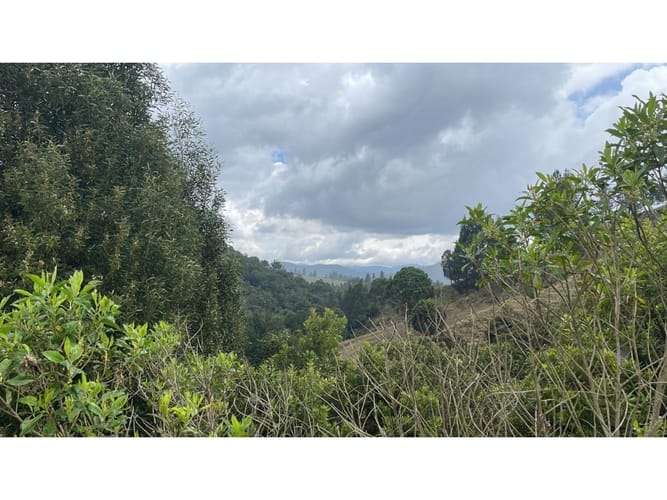 Lote en venta en Vía Las Palmas, Envigado, 1876 m² · foto 2 de 6