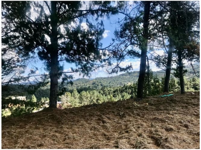 Lote en venta en Las Palmas, Envigado, 1664 m² · foto 6 de 24