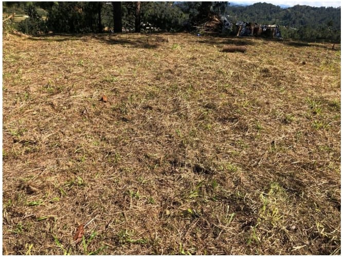 Lote en venta en Las Palmas, Envigado, 1664 m² · foto 13 de 24