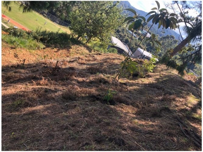 Lote en venta en Las Palmas, Envigado, 1664 m² · foto 14 de 24