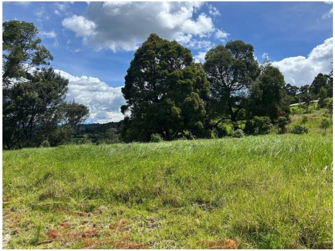 Lote en venta en Las Palmas, Envigado, 5775 m² · foto 2 de 9