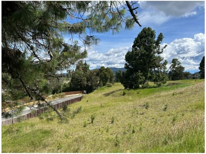 Lote en venta en Las Palmas, Envigado, 5775 m² · foto 3 de 9