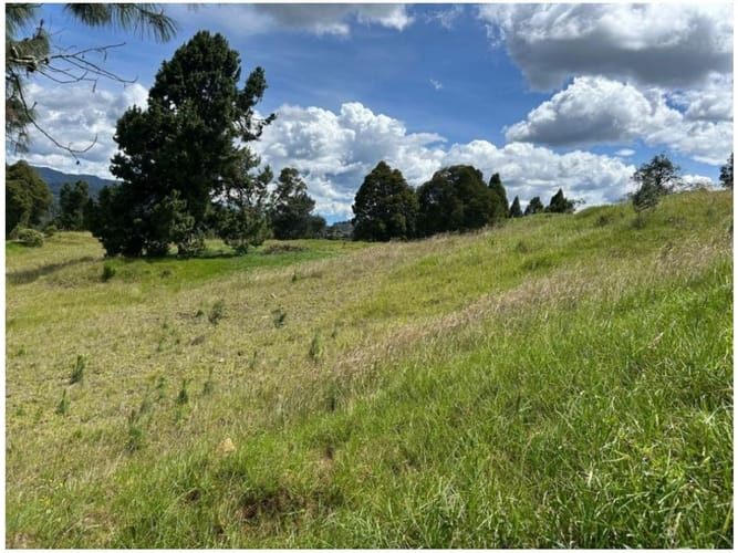 Lote en venta en Las Palmas, Envigado, 5775 m² · foto 4 de 9