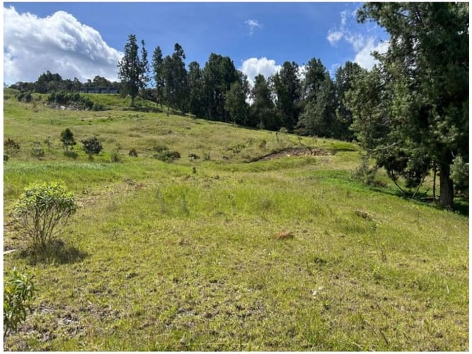 Lote en venta en Las Palmas, Envigado, 5775 m² · foto 9 de 9