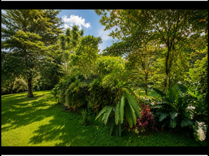 Casa en venta en Loma De Las Brujas, Envigado · foto 4 de 14