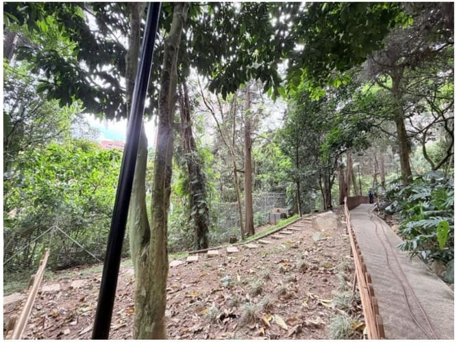 Apartamento de 3 alcobas en venta en Los Balsos, Medellín, 120 m² · foto 20 de 24