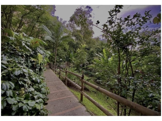 Apartamento de 2 alcobas en venta en El Tesoro, Medellín, 165 m² · foto 15 de 18