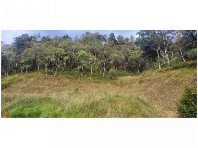 Lote en venta en Don Diego, El Retiro, 7940 m² · foto 7 de 13