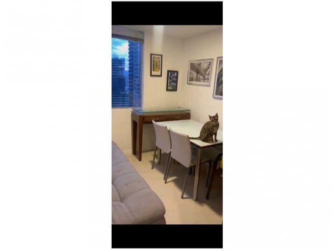 Apartamento de 2 alcobas en venta en Villa Carlota, Medellín, 78 m² · foto 10 de 15