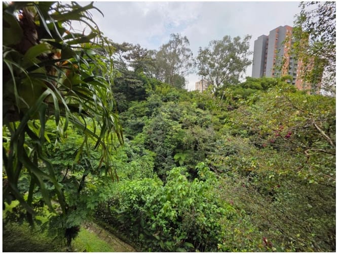Casa de 3 alcobas en venta en El Poblado, Medellín, 246 m² · foto 7 de 24